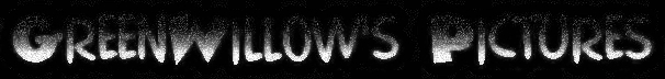 gw-logo.jpg (30252 bytes)